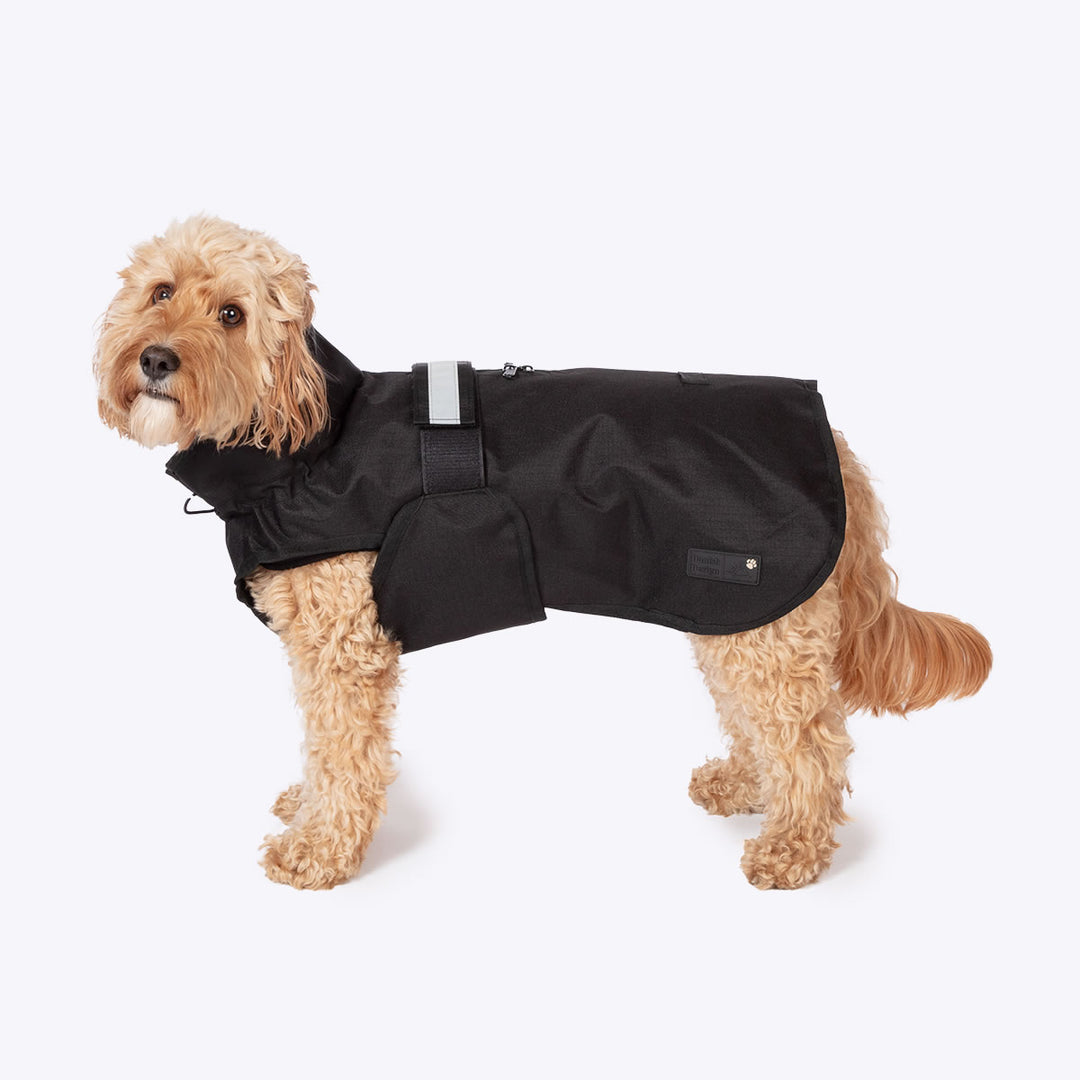 3-in-1 Dog Coat Black