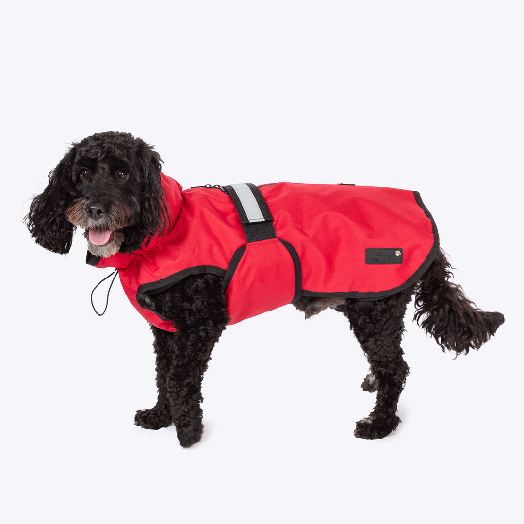 3-in-1 Dog Coat Red