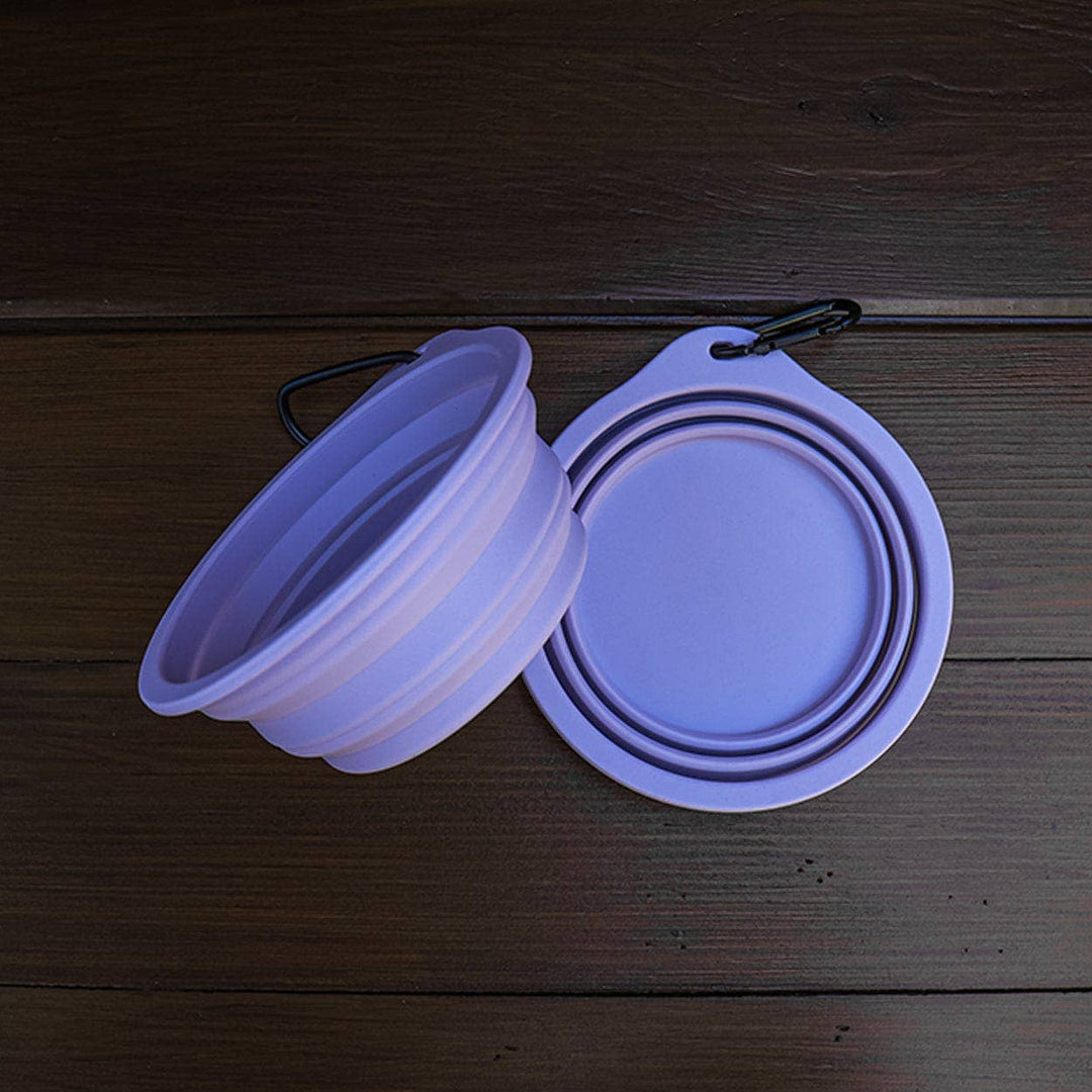 Silicone Travel Bowl