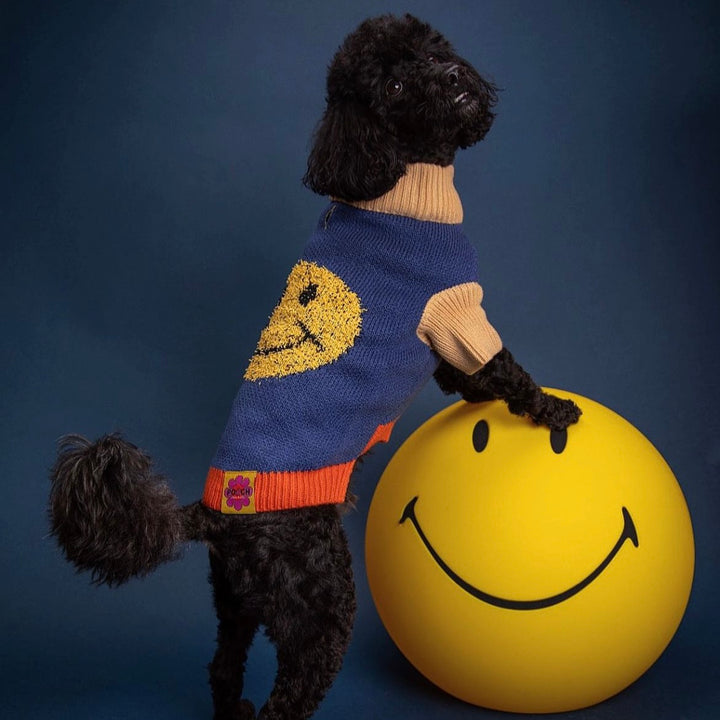 Smiley Jumper *Special Edition*