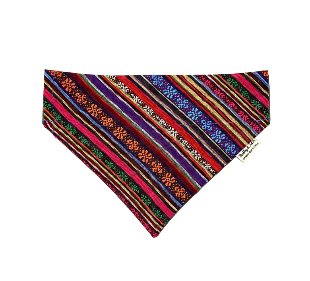 Mexican Dream Dog Bandana