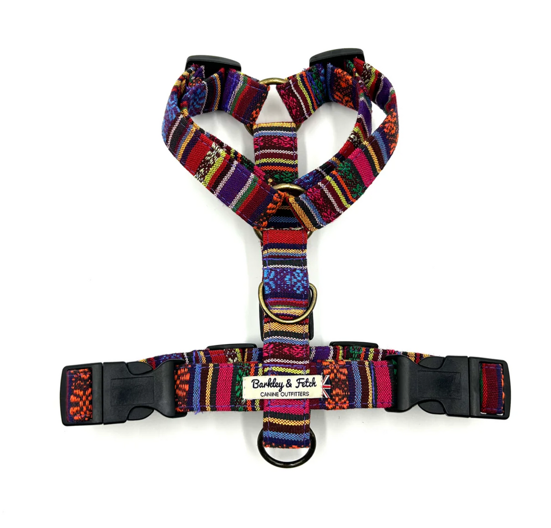 Mexican Dream Strap Dog Harness