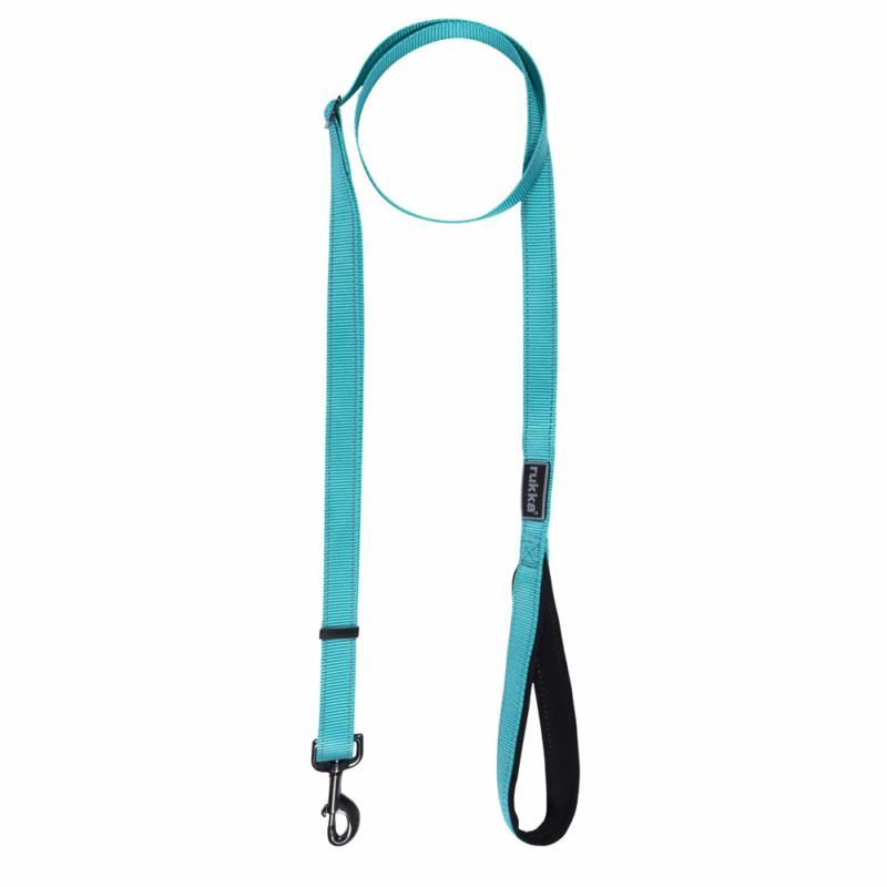 Bliss Dog Lead in Neon Turquoise (1-2m)