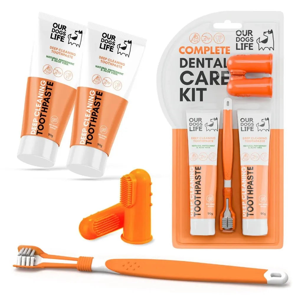 Dog Dental Kit