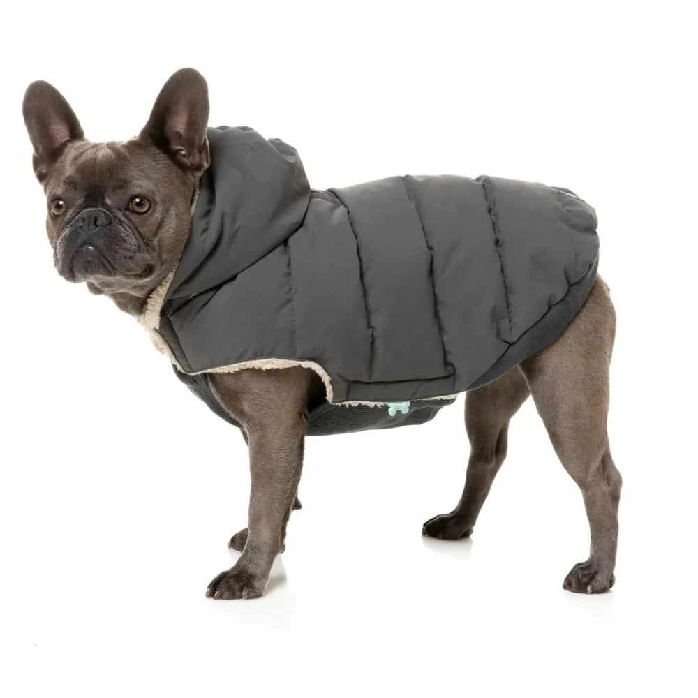 Essential Puffer Dog Jacket - Charcoal