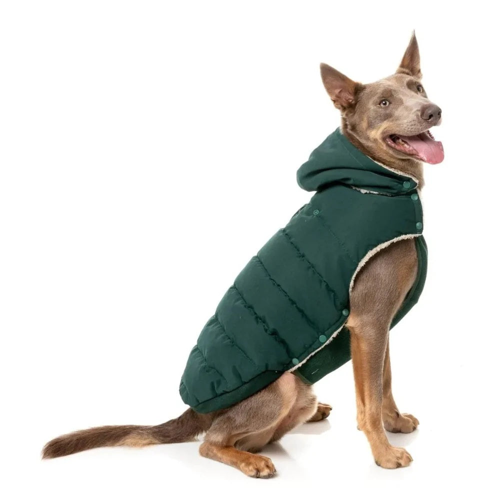Essential Puffer Dog Jacket - Forest Green