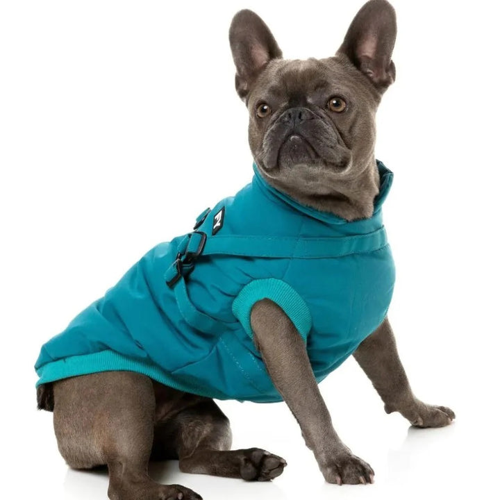 Flash  Dog Harness Jacket - Dark Teal