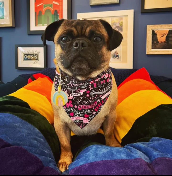Dog Doza Bed Brighton Pride