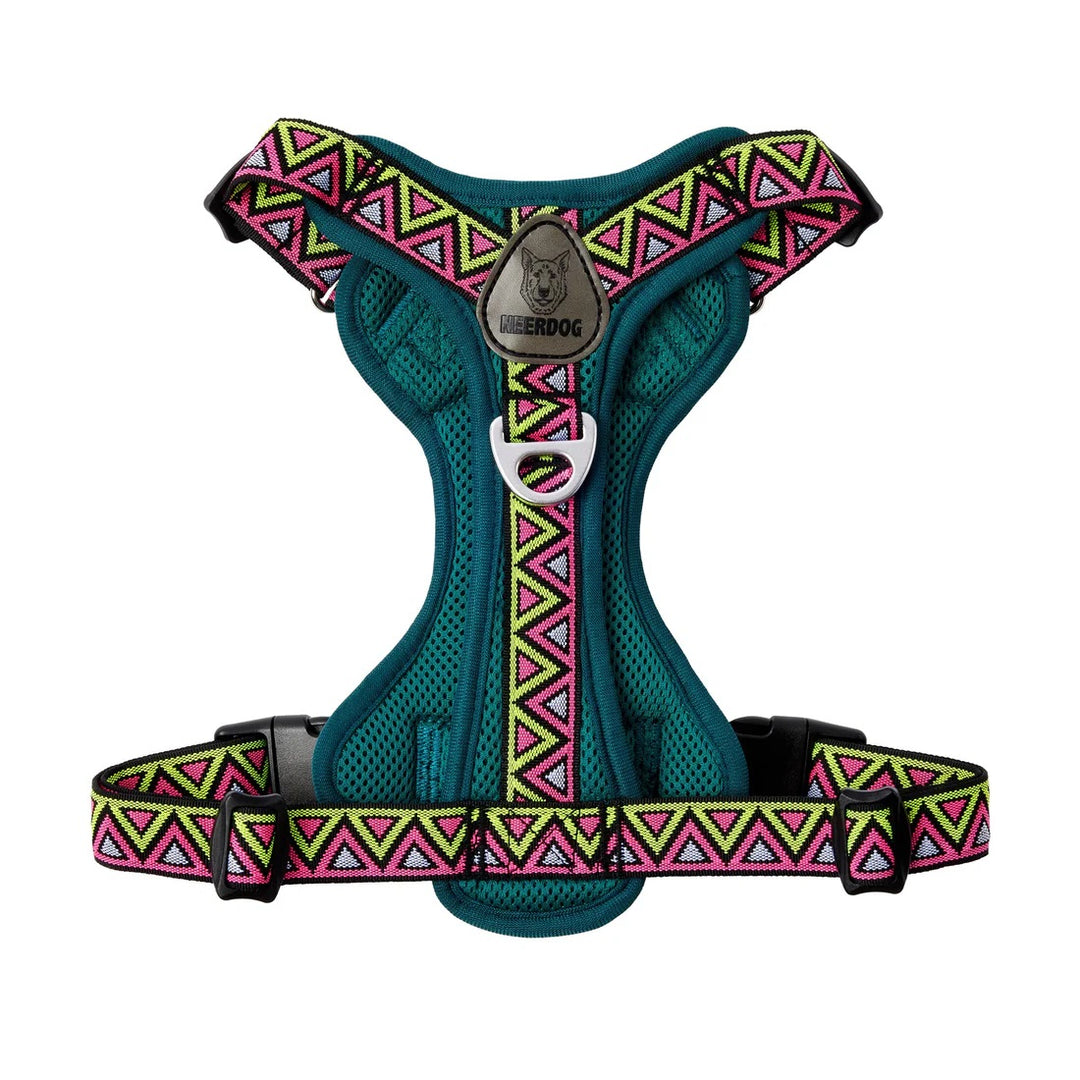 Go-B-Bold Lantana Airflow Dog Harness