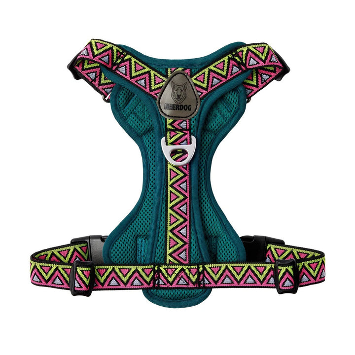 Go-B-Bold Lantana Airflow Dog Harness