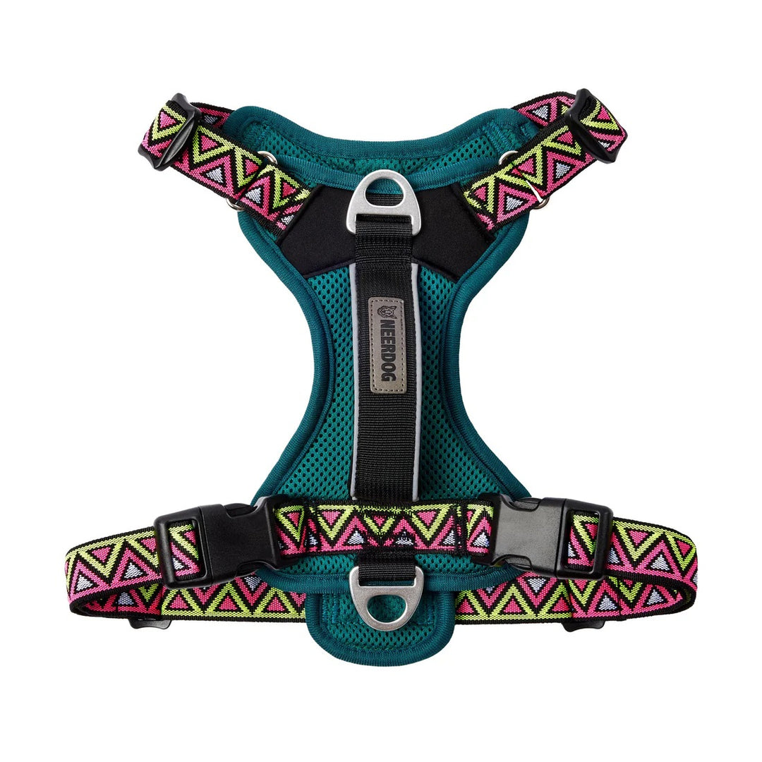 Go-B-Bold Lantana Airflow Dog Harness