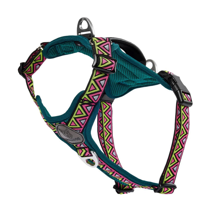 Go-B-Bold Lantana Airflow Dog Harness