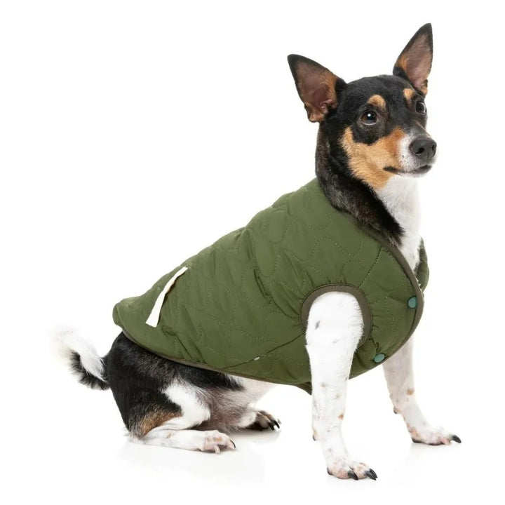 Nara Dog Jacket - Reversible Beige/Dark Moss