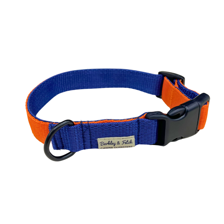 Colour Block Dog Collar