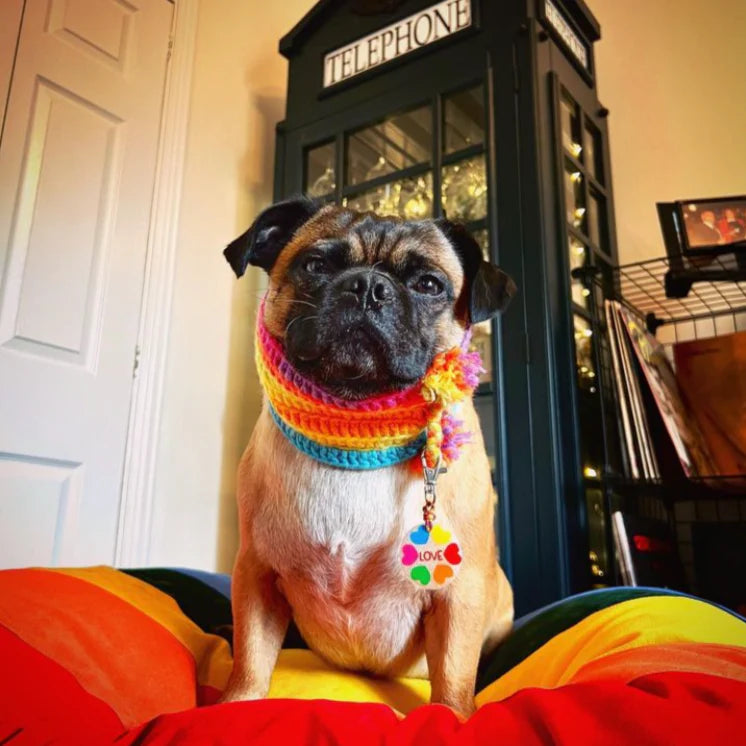 Dog Doza Bed Brighton Pride