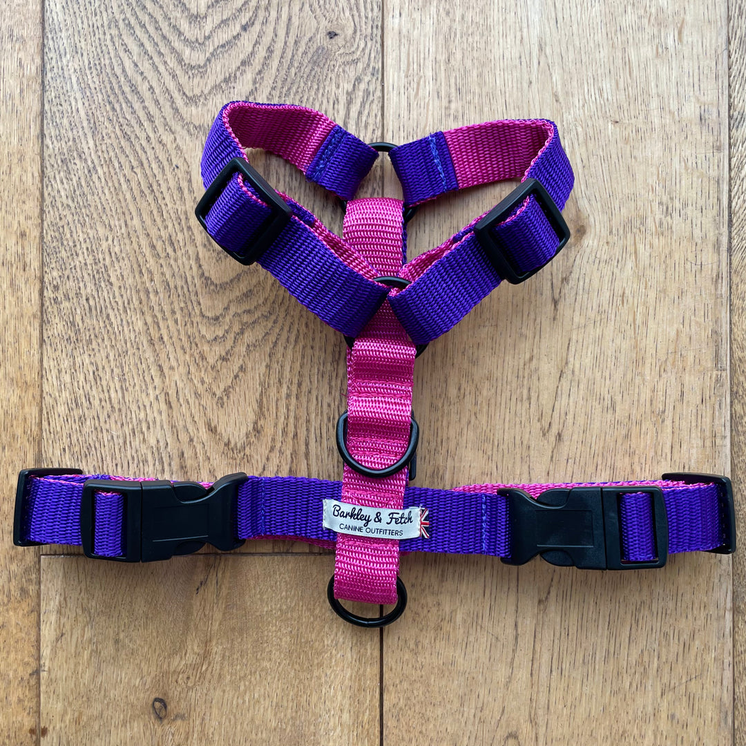 Colour Block Harness