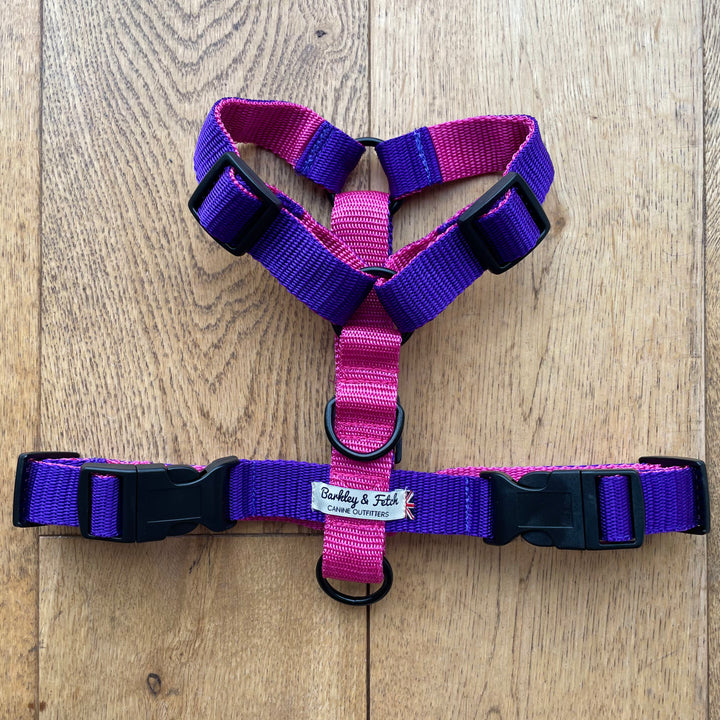 Colour Block Harness