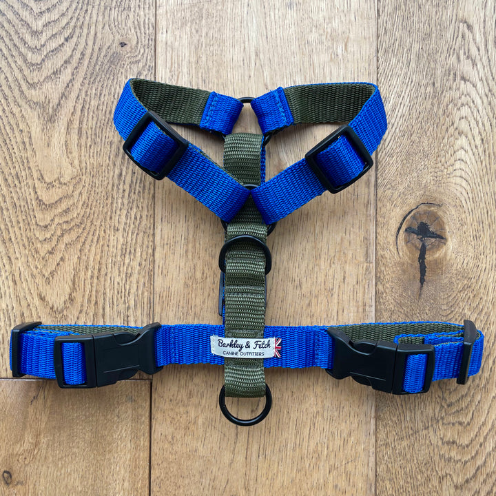 Colour Block Harness