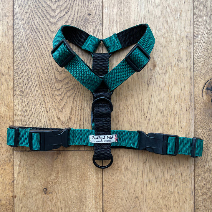 Colour Block Harness
