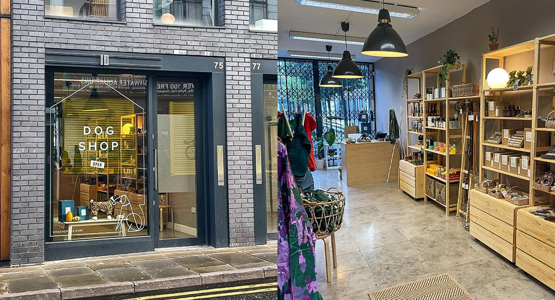 Dog Shopping in Manchester Made Easy: Visit Dog Shop MCR