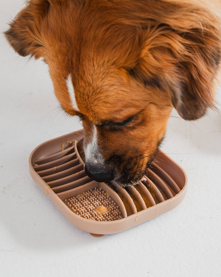 Hide and Seek Silicone Slow Feeder