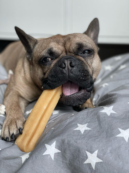 Yak Milk Dog Chew
