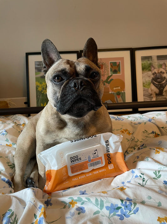 Dog Grooming Wipes Scented