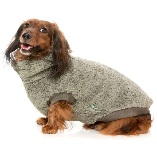Turtle Teddy Dog Sweater in Rosemary