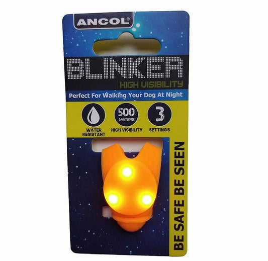 Flashing Light Blinker