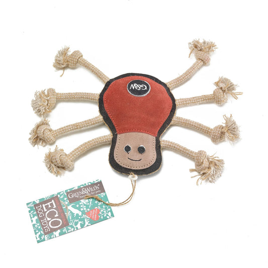 Spike the Spider Eco Dog Toy