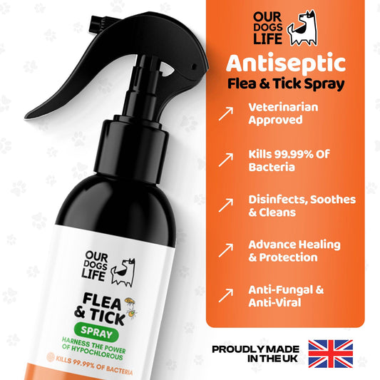 Flea & Tick Spray for Dogs (250ml)