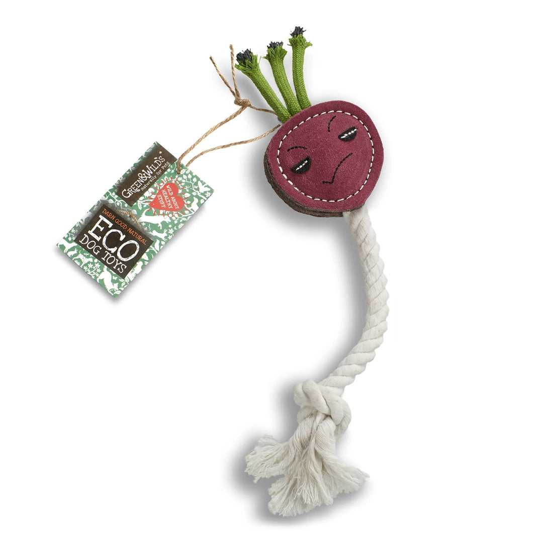 Ruby The Radish Eco Dog Toy